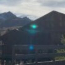 Illustration du profil de Francoise Van Hoecke